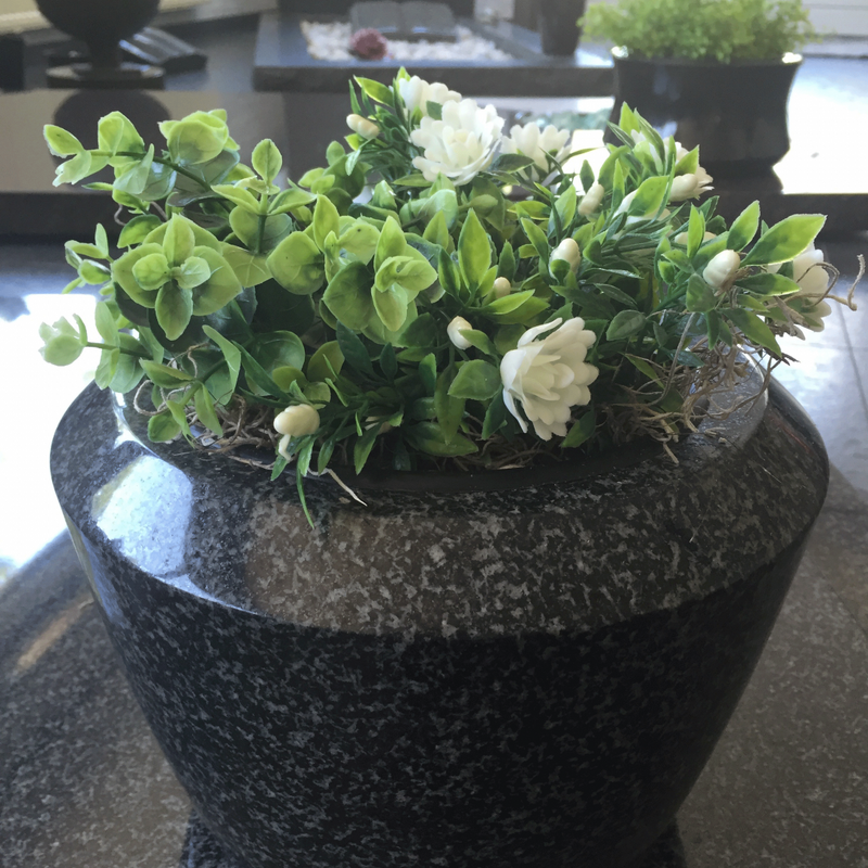 Plantenschaal Royal Impala