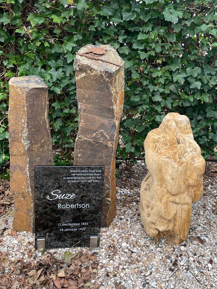Versteend hout