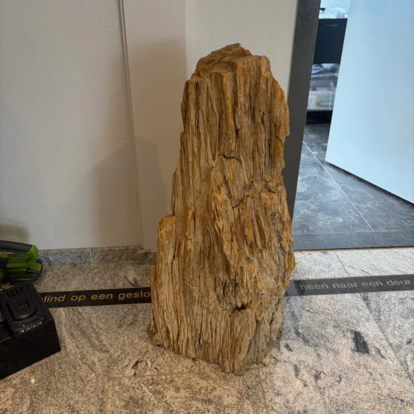 versteend hout rondom ruw