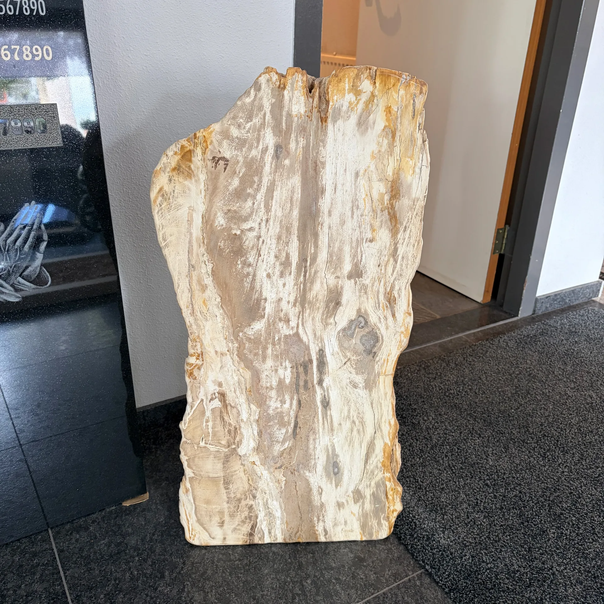 Versteend hout poli